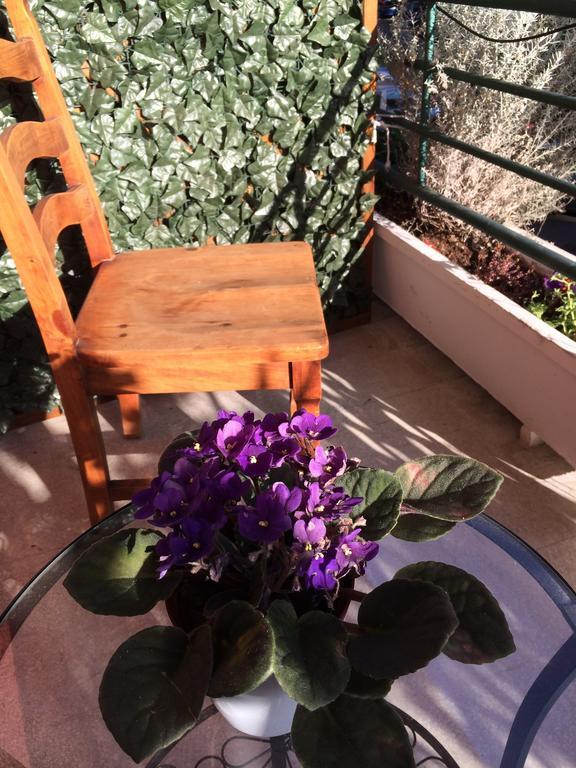 Shelisa B&B Roma Exterior foto